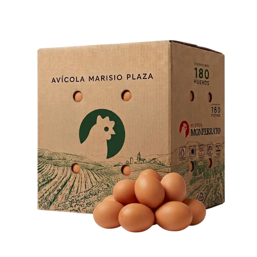 Caja de 180 huevos Monferrato